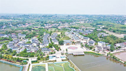 行走鄉村看內江|從名不見經傳到家喻戶曉!尚騰新村是這樣煉成&ldquo;明星&rdquo;的