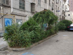 開發(fā)新村圖片相冊,上海開發(fā)新村實景圖 室外圖 小區(qū)配套圖