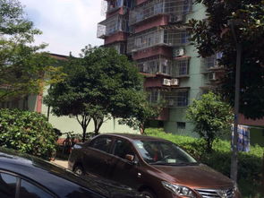 七里墊新村與七里新村 城市變遷中的雙生印記